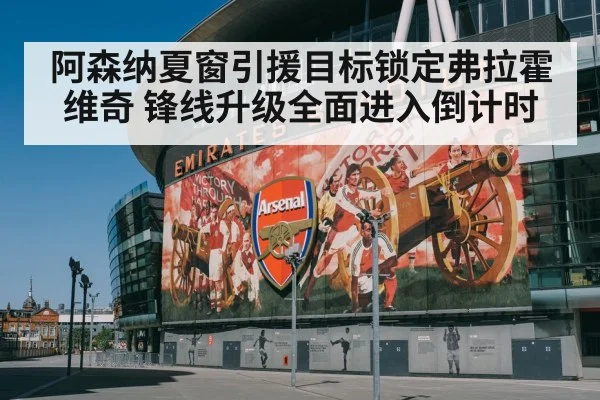 阿森纳夏窗引援目标锁定弗拉霍维奇 锋线升级全面进入倒计时